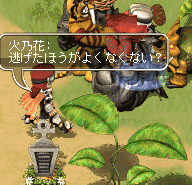 gIΎR