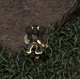 ̂