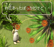 UCNQ