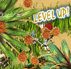 LV UP`